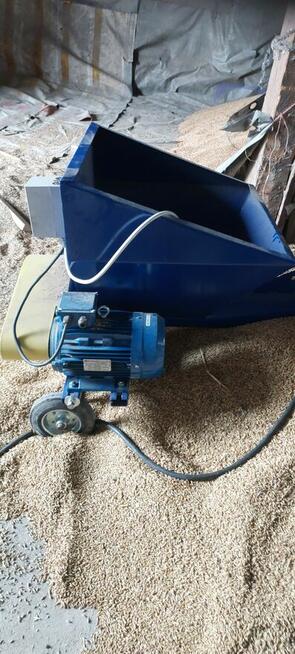 Sprzedam żmijka do zboża