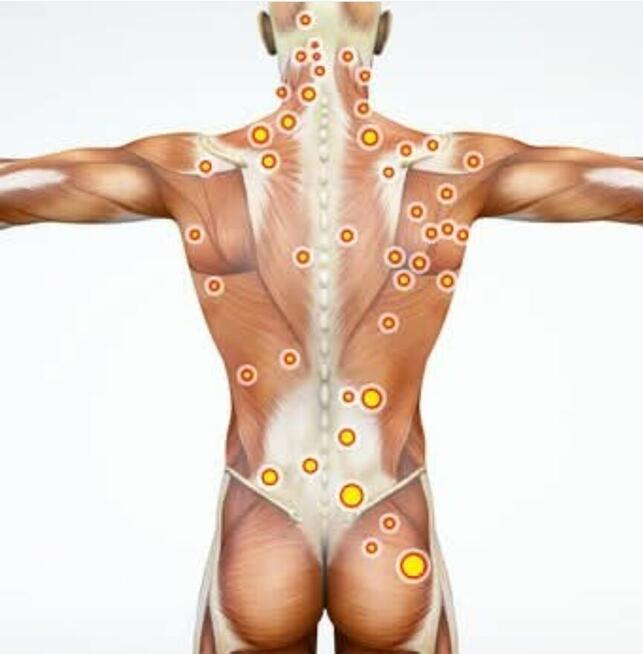 Masaże Ustka/Niestkowo okolice