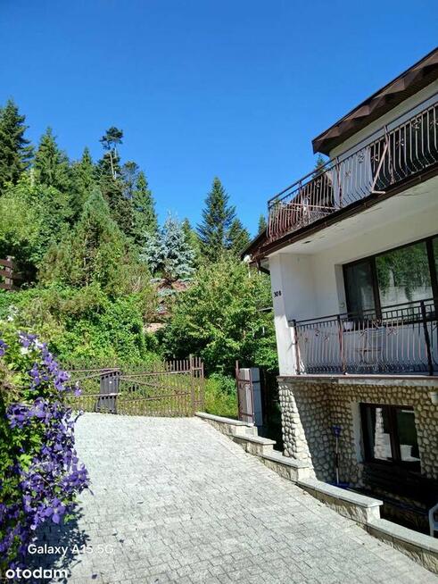 Dom z potencjałem, las, góry, blisko centrum