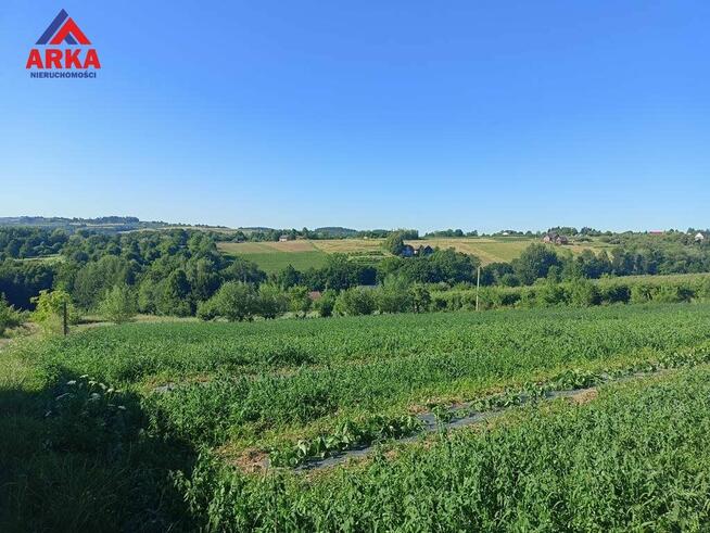 Działka rolna Sadek gm. Jodłownik