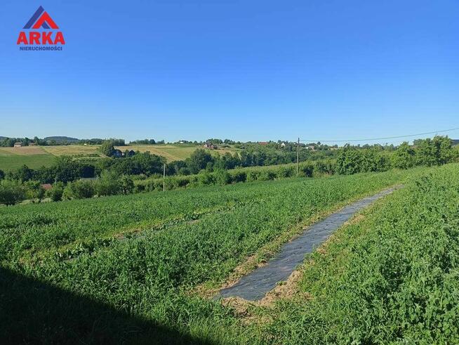 Działka rolna Sadek gm. Jodłownik
