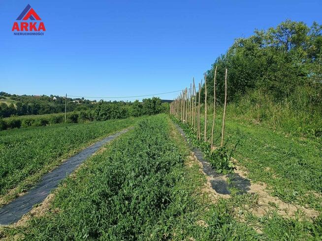 Działka rolna Sadek gm. Jodłownik