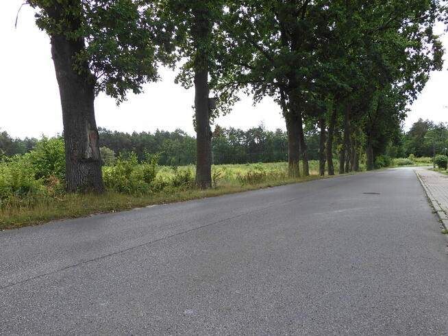 ✅Inwestuj w przyszłość już dziś!✅