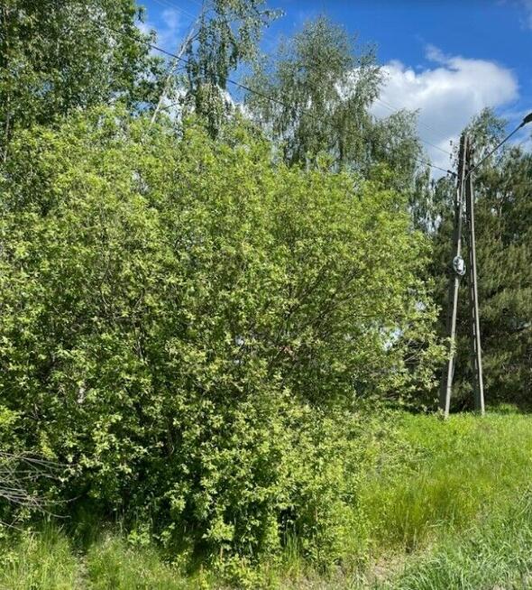 Działka do wynajęcia w Radzyminie – 2000 m²