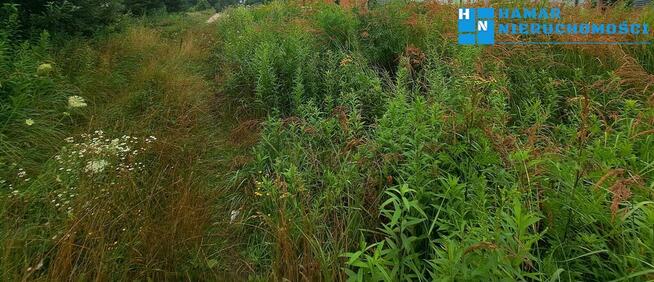 Gratka dla dewelopera działka 4040m2 w Jaworowej