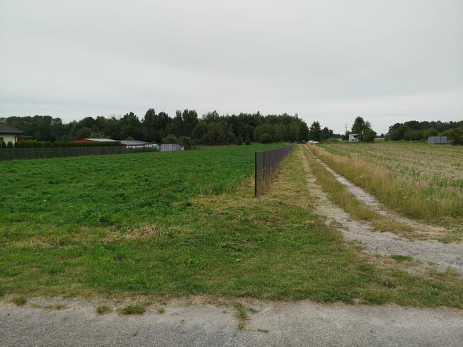 Działka, Jasieniec, Puchaczów, Łęczna, 4497m2