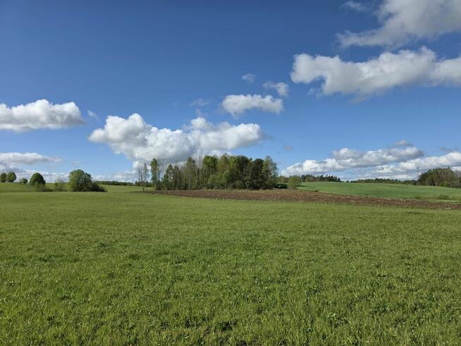 Syndyk sprzeda nieruchomość gruntową