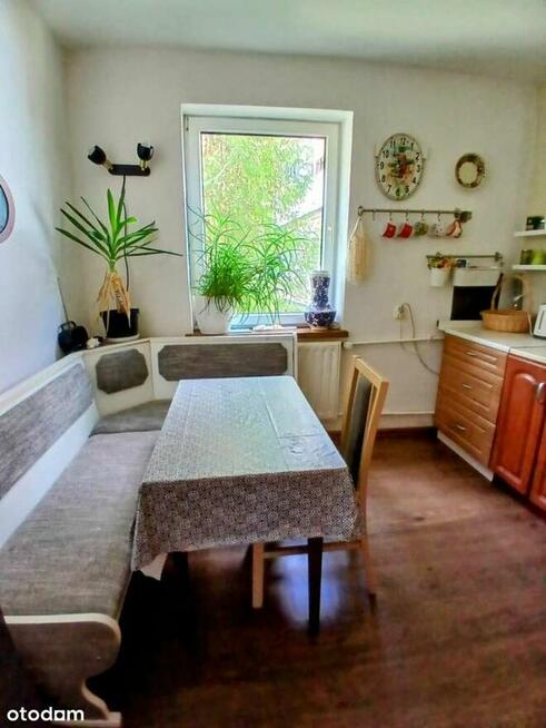 Dom z potencjałem, las, góry, blisko centrum