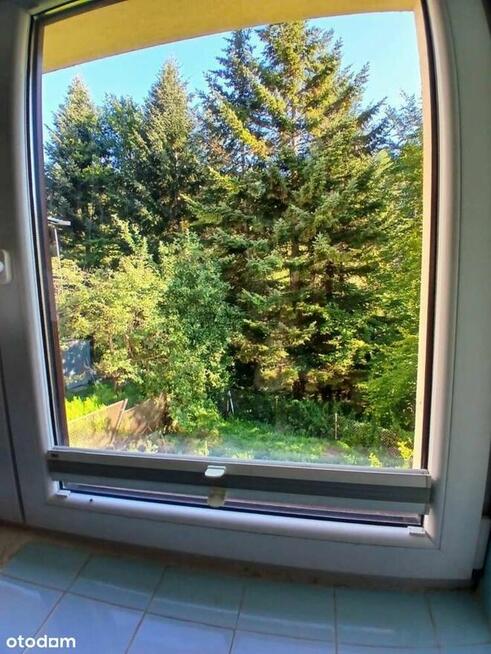 Dom z potencjałem, las, góry, blisko centrum