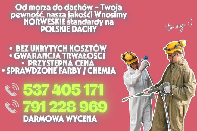 Malowanie DACHÓW i ELEWACJI | Mycie ciśnieniowe