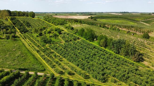 Działki budowlane, rolne - Sandomierz Poscaleniowy