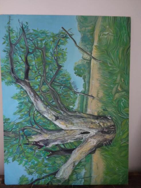 Sprzedam pejaż Kielce