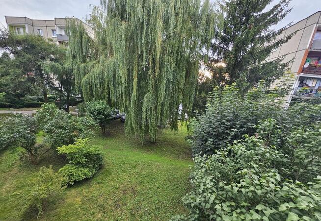 Mieszkanie 72 m2 w spokojnej okolicy Świebodzina