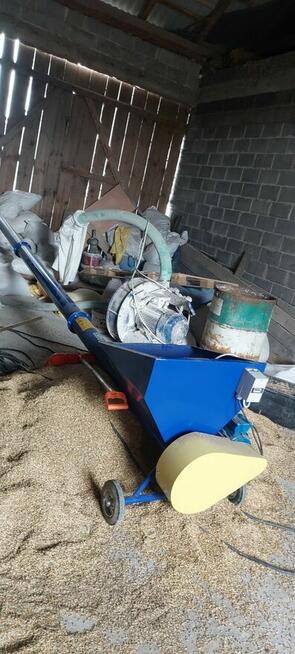 Sprzedam żmijka do zboża