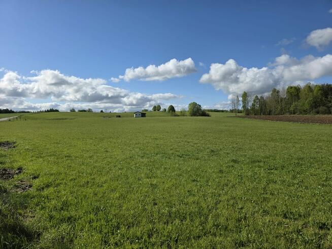 Syndyk sprzeda nieruchomość gruntową