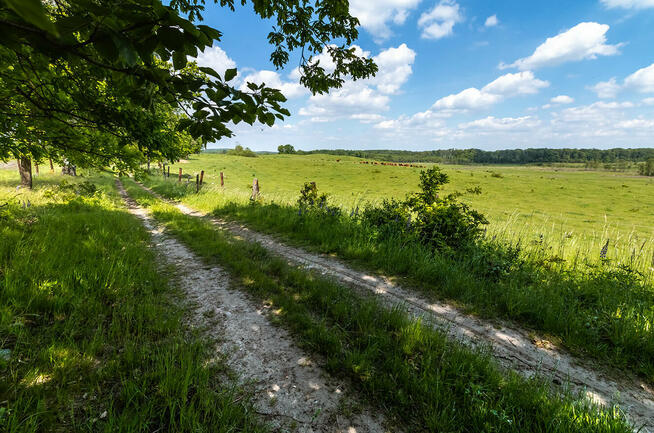 Domek Letniskowy „Spokojny Zakątek”