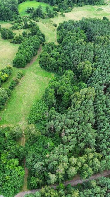 Działka rolna 5426 m² – Strobów, gm. Skierniewice, woj. łódz