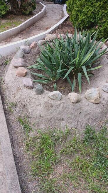 Sprzedam działkę ogrodową