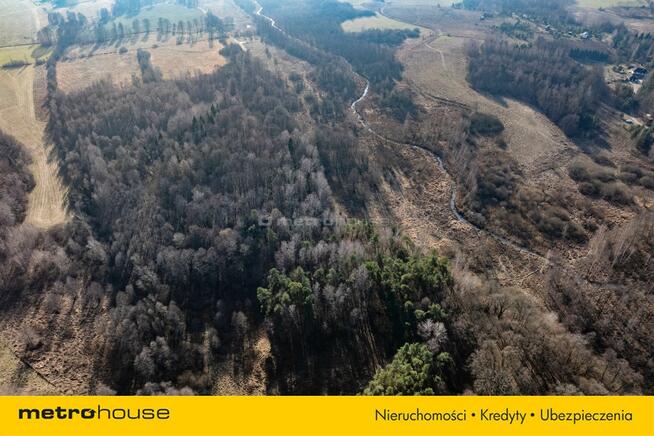 DUŻA DZIAŁKA ROLNO-LEŚNA