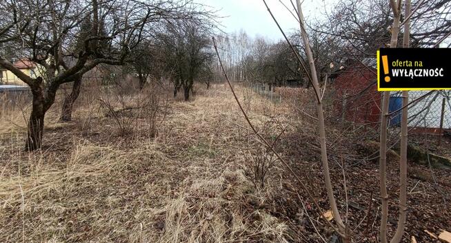 Dom Końskie, Odludna