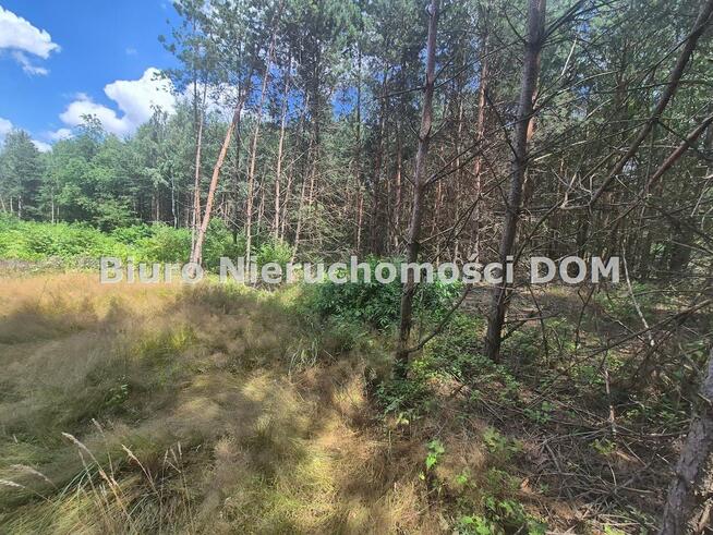 Działka Lgota gm. Kłobuck