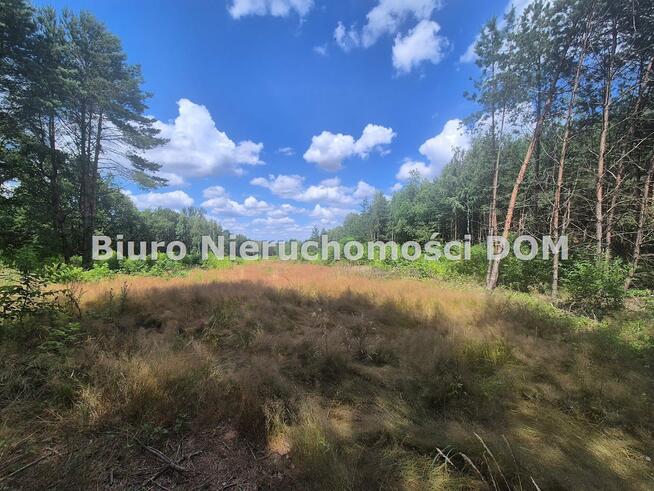 Działka Lgota gm. Kłobuck