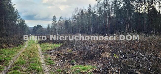 Działka Lgota gm. Kłobuck