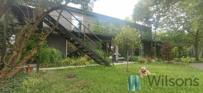 Lokal użytkowy Opacz-Kolonia gm. Michałowice,