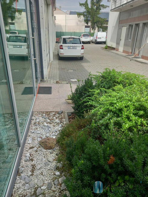 Lokal użytkowy Sękocin Stary gm. Raszyn, Al. Krakowska