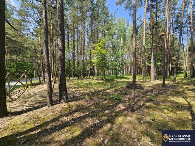 Działka budowlana Trzepieciny gm. Adamów