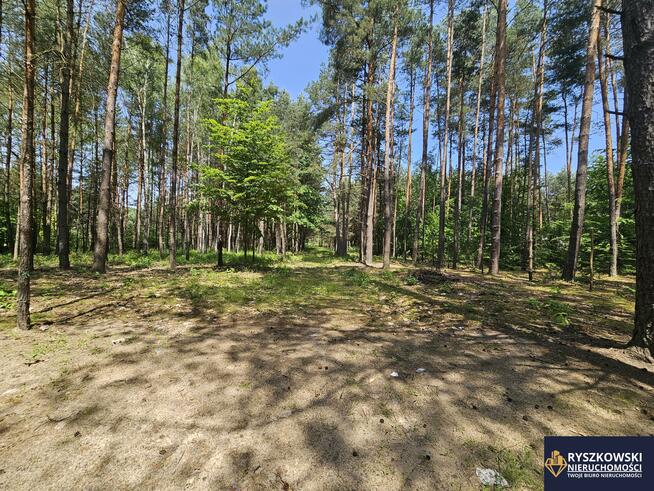 Działka budowlana Trzepieciny gm. Adamów