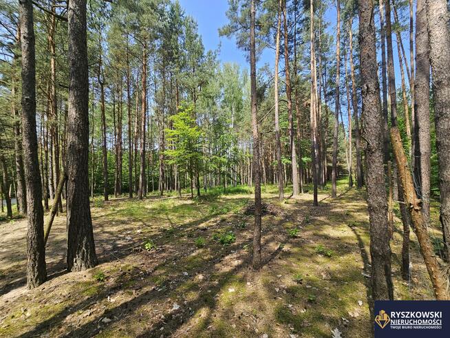 Działka budowlana Trzepieciny gm. Adamów