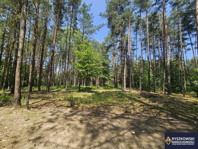 Działka budowlana Trzepieciny gm. Adamów