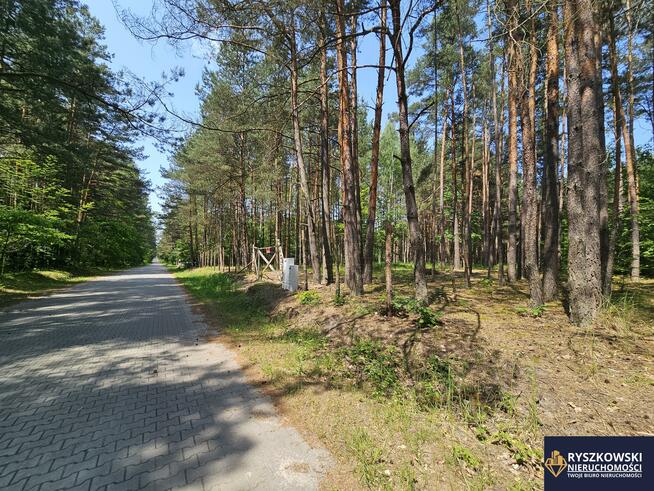 Działka budowlana Trzepieciny gm. Adamów