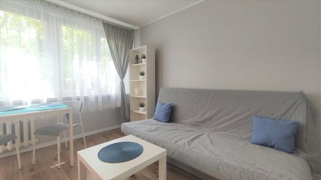 Niemcewicza 14, Górna, studio pet friendly