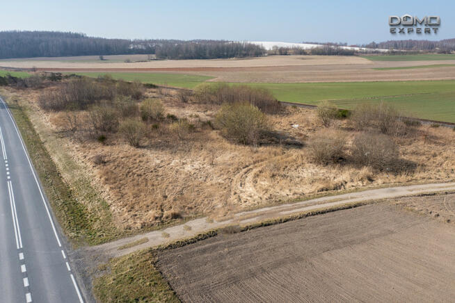 Działka inwestycyjna Zebrzydowa gm. Nowogrodziec,