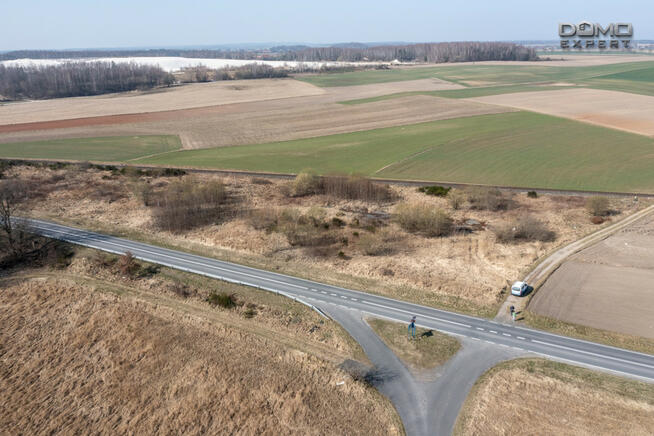 Działka inwestycyjna Zebrzydowa gm. Nowogrodziec,