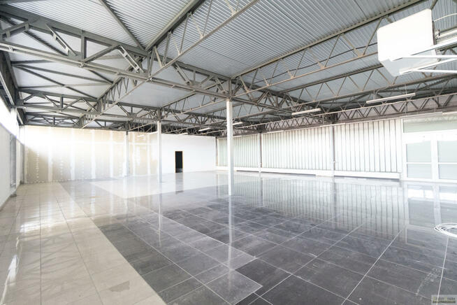 Lokal użytkowy Opole