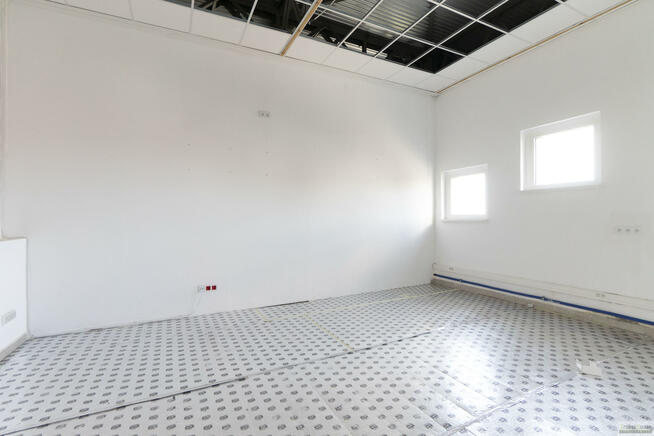 Lokal użytkowy Opole