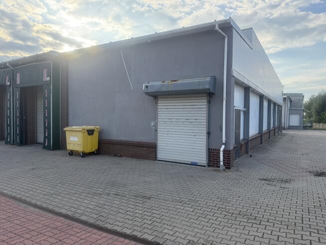 Powierzchnia magazynowa do wynajęcia