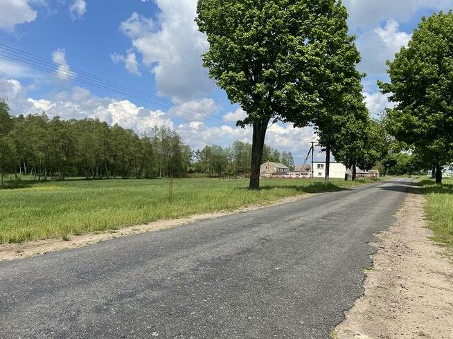 Działka rolno-budowlana Sokołowo gm. Witkowo, Sokołowo