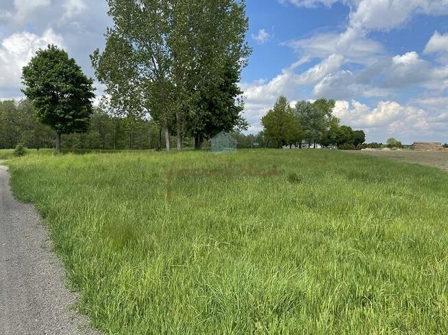 Działka rolno-budowlana Sokołowo gm. Witkowo, Sokołowo