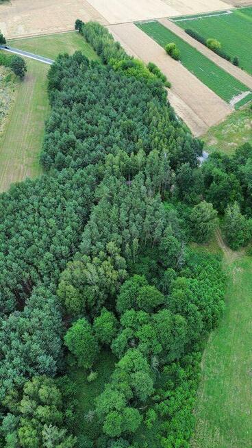 Działka rolna 5426 m² – Strobów, gm. Skierniewice, woj. łódz