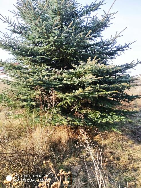 Dom w sąsiedztwie granicy