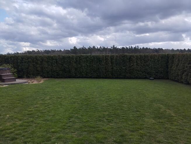 Kompleksowe usługi ogrodnicze