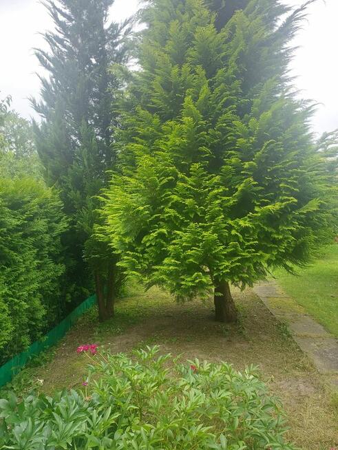 Kawalerka dla singla lub pary