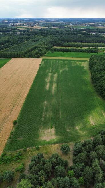 Działka inwestycyjno-rolna 1,98 ha, Strobów, gm. Skierniewice