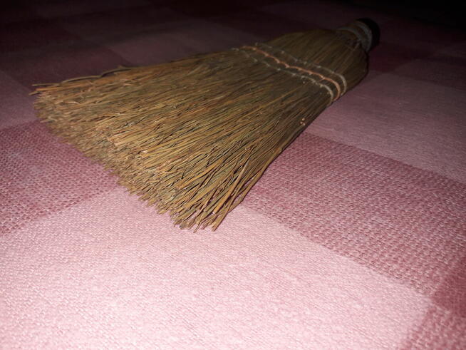 Szczotka do czyszczenia ubrań