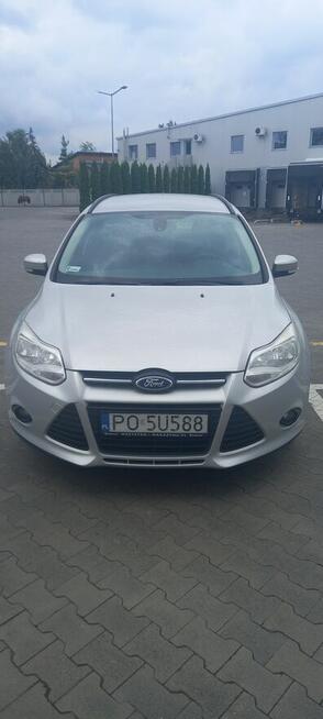 Ford Focus na sprzedaż.