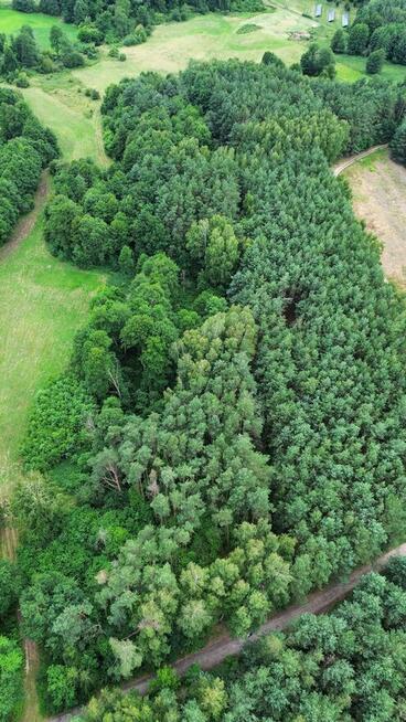 Działka rolna 5426 m² – Strobów, gm. Skierniewice, woj. łódz